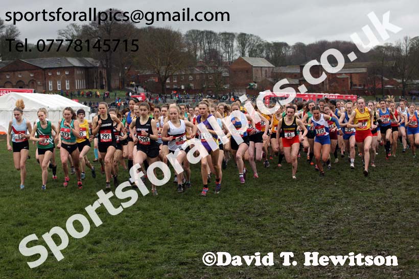 Senior girls 2019 New Balance English Schools Cross Country Champs, Temple Newsam, Leeds. Photo:  David T. Hewitson/Sports for All Pics